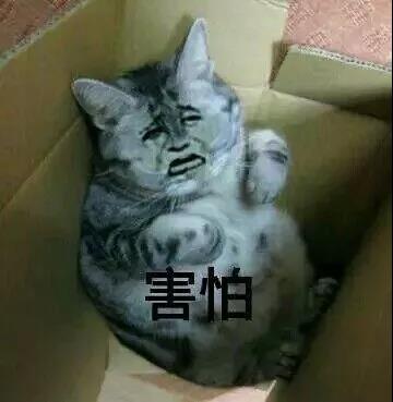 跨境卖家故事：我的发际线比店铺销量提高的还快