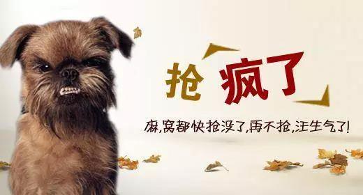 亚马逊这个黑五卖什么最猛？2017黑五风向标解读
