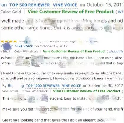 满屏尽带Vine Review，这个亚马逊卖家是怎么做到的？